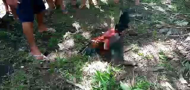 ruby29--tupada win#3