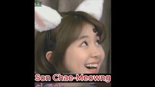 Twice Chae-meowng