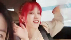 【Wild Sisters】 240513 Yuqi's "Han River🐱🐶🐯🦒🦋🧜♀️" Challenge