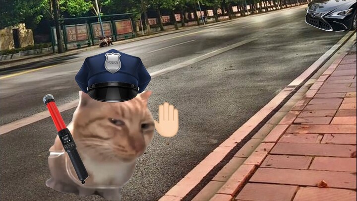 交警：你隔这卡BUG呢