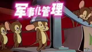 Sichuan dialect: Rats engaging in military training? Funny dubbing makes your stomach hurt when you 