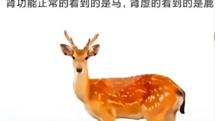 【飘呀飘呀飘呀飘个球呀】最新视频已上线，快来围观！