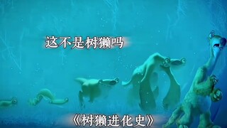 哈哈哈， 原来这就是树獭进化史~