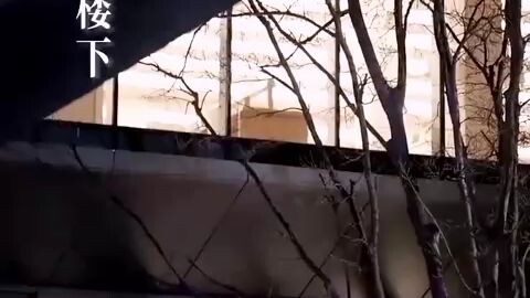 kiss at first meeting