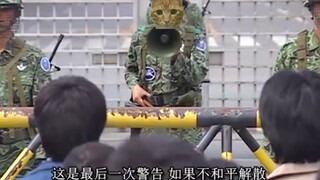 已经不是一般的爱猫入了 必须出重拳