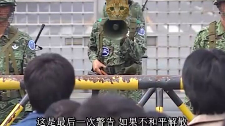 已经不是一般的爱猫入了 必须出重拳