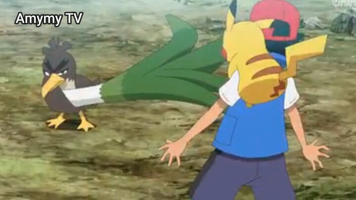 Pocket Monsters 2019 (Ep 51.4) Satoshi vs Genba: Kamonegi giỏi quá #PocketMonsters2019