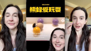 新研究发现，熊蜂爱玩耍🐝