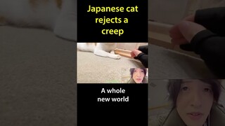 Japanese cat rejects a creep