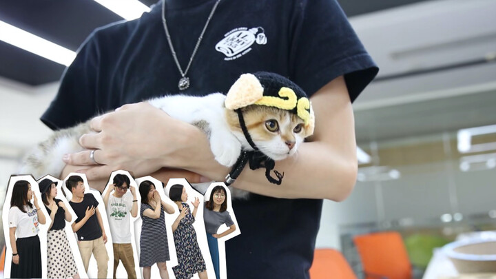 A Cat and a Tumbledow AD Company Ep9: The Cat Tree