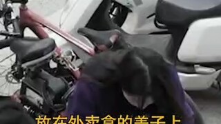 A kind girl breaks her chopsticks and shares half of her meal with the homeless man #heartwarming