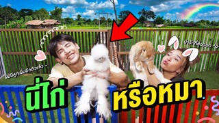 เปิดตัวน้องหมาพุดเดิ้ล?! เอ๊ะ..มันใช่หรอ ฮาๆ (นี่ตัวอะไรกันแน่ครับเนี่ย)