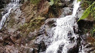 Waterfall Scenery