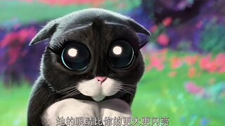 这卡姿兰大眼睛