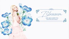 Solar - First Solo Concert 'Blossom' [2018.04.29]