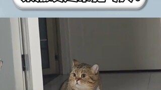 الحب بالفعل هو الشعور الدائم بالدين