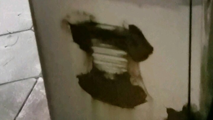 The teacher taught us to use our eyes to spot beauty, not just chickens.