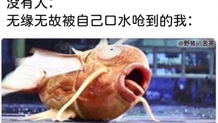 Today’s meme 4