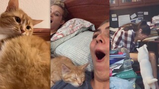 Cat loves you too