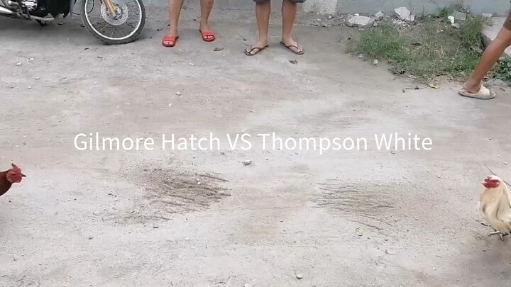Thompson White Vs.Gilmore Hatch. Practice Muna🫡