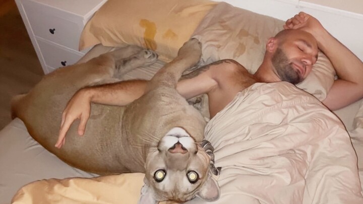 البيسون ميسي: أبي، كيف تغفو وأنا مستيقظ في الرابعة فجراً؟