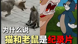 لماذا يعتبر توم وجيري فيلم وثائقي؟