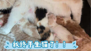 Lúc sinh không cảm thấy gì mấy, có lẽ do thể chất của tôi khá tốt, còn các bạn thì sao nhỉ