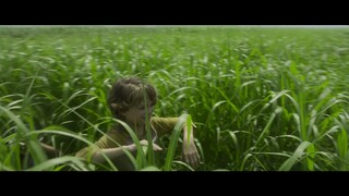 IN THE TALL GRASS (2019) SUB INDO