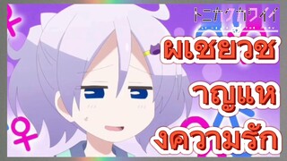 ผู้เชี่ยวชาญแห่งความรัก