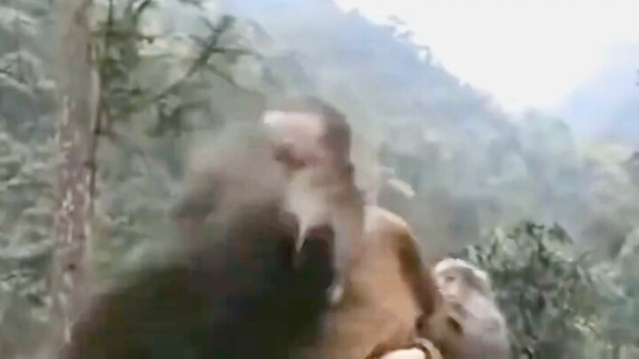 Mở ra mới biết hóa ra đỉnh đến thế!