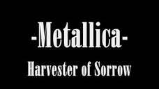 Metallica - Harvester Of Sorrow (Lyrics) MV HD 🎥