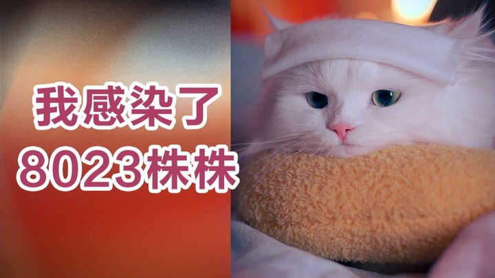 ฉันกลายเป็นแกะแล้ว ติดเชื้อไวรัสสายพันธุ์ 8023 เข้าให้..