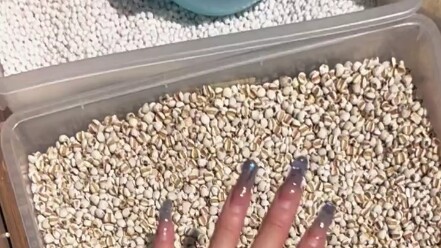 Brothers and sisters, can you tell which color makes skin look fairer?