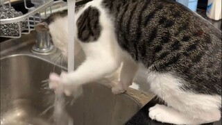 "Hôm nay tôi phải giết nước"