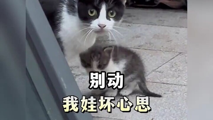 “อย่าคิดไม่ดีกับลูกฉัน”