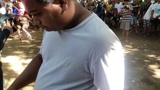 MJF GAMEFOWL - Buti na lang swerte nanalo pa🥰
