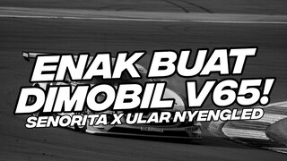 ENAK BUAT DI MOBIL V65! DJ SENORITA X ULAR NYENGLED FULL BASS 2023 [NDOO LIFE]