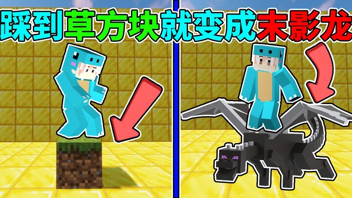 Step on a block and an Ender Dragon spawns! How will you survive? #Minecraft Fun Data Pack