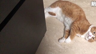 Xiao Mi Papi Jiang: Saya dikritik lagi hari ini karena tidak higienis dan tidak memperhatikan... Gur