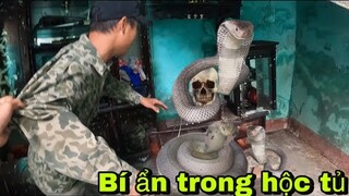 Bí Ẩn Bộ X.ương Khô Và Phát Hiện Kinh Hoàng | Đại Vùng Cao