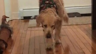 Time is just a quack doctor; companionship is the real cure.