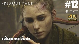 A Plague Tale Requiem12 เส้นทางเลือด