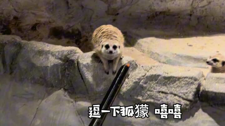 The Qingming holiday is almost here—ya know what I mean, right?