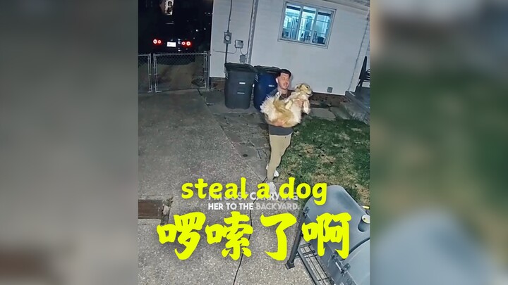 Saya sering diam-diam memeluk anjing teman saya: