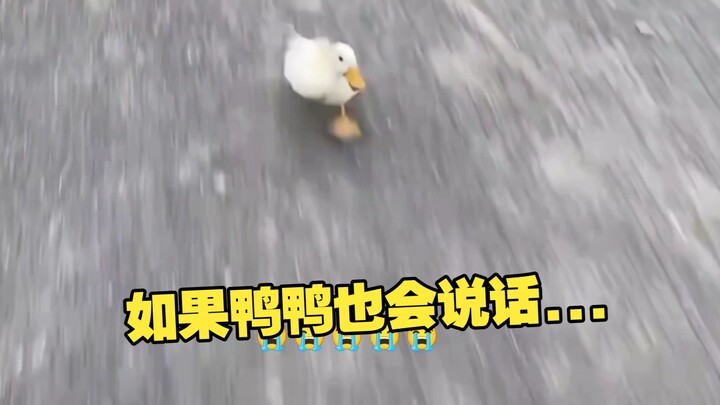 Anh hãy dẫn em đi đi!!😭