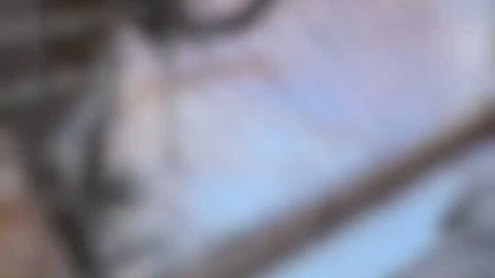 من يا ترى حيوانك الأليف؟!