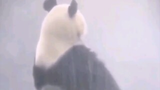 Giá mà bạn cứ mãi đeo mặt nạ thì tốt biết bao