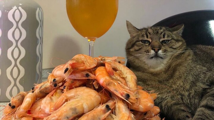 ورقٌ سكرانٌ ذهبيٌّ ساحرٌ