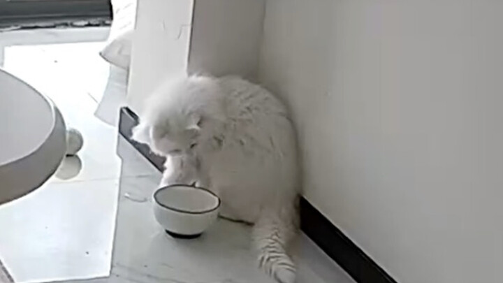 ขณะนั้น แม่สูงวัยผู้สิ้นหวังกำลังกรีดร้องอย่างไร้เรี่ยวแรงนอกสายตาของกล้องวงจรปิด