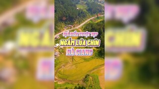 Địa điểm ngắm lúa chín Hà Giang